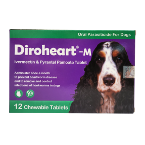 다이로하트 M (12~22kg)(12정)