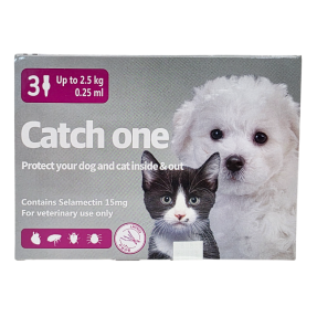 캐치원 SS (독/캣) (2.5kg 이하)(3P)