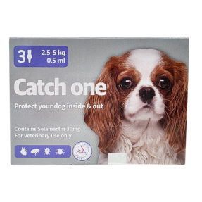 캐치원 S (2.5~5kg)(3P)