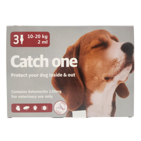 캐치원 L (10~20kg)(3P)