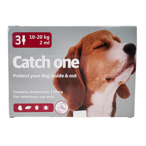 캐치원 L (10~20kg)(3P)