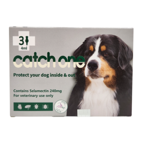 캐치원 XL (20~40kg)(3P)