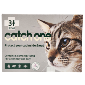 캐치원 (캣) (2.5~7.5kg)(3P)