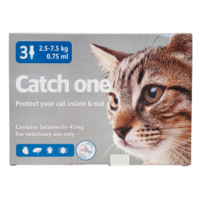 캐치원 (캣) (2.5~7.5kg)(3P)