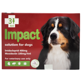 임팩트 독 XL (25~40kg)(3P)