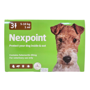 넥스포인트 M (5~10kg)(3P)