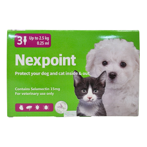 넥스포인트 SS (독/캣) (2.5kg 이하)(3P)