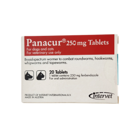 파나쿠어 250mg(20정)