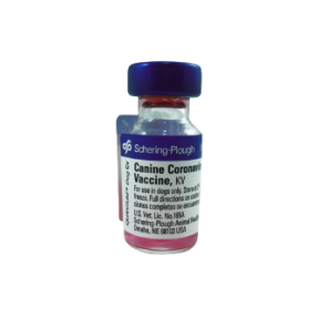 퀀텀 코로나 (노비박CV)(1두분) [판매기록부 기록]