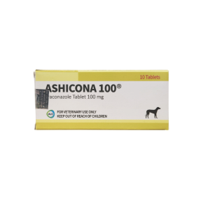 아시코나 100(10정)