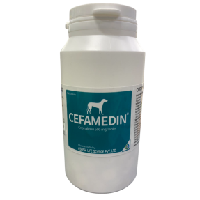 세파메딘 500mg (500정) [판매기록부 기록]