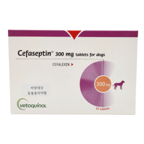 세파셉틴 300mg(10정) [판매기록부 기록]