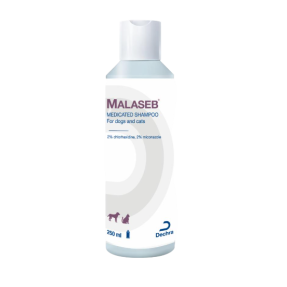 멜라셉 약용 샴푸(250ml)