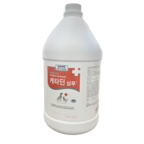 케타딘 샴푸(4L)