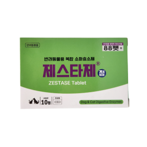 제스타제(10정)