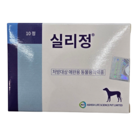 실리정(10정) [판매기록부 기록]