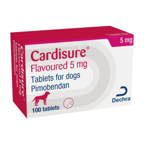 카디슈어 5mg(100정)