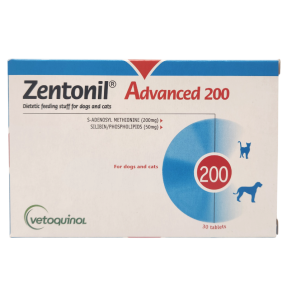 젠토닐 어드밴스 200(30정)