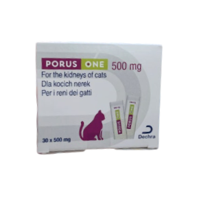 포러스원 500mg(30포)