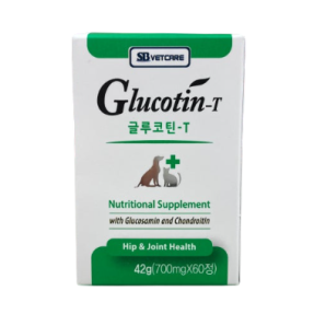 글루코틴 T(60정)