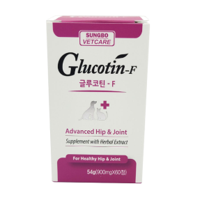 글루코틴 F(60정)