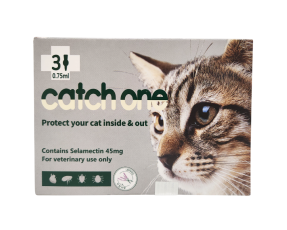 캐치원 (캣)(2.5~7.5kg)(3P) [10+1]