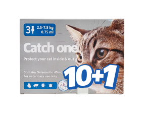 캐치원 (캣)(2.5~7.5kg)(3P) [10+1]