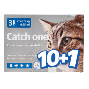 캐치원 (캣)(2.5~7.5kg)(3P) [10+1]