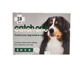 캐치원 XL(20~40kg)(3P) [10+1]