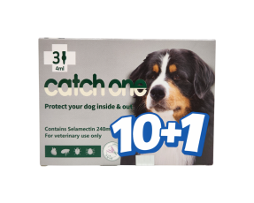 캐치원 XL(20~40kg)(3P) [10+1]