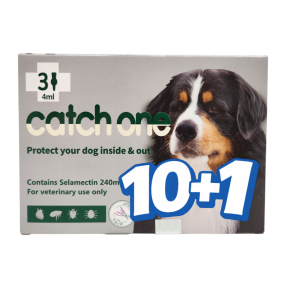 캐치원 XL(20~40kg)(3P) [10+1]