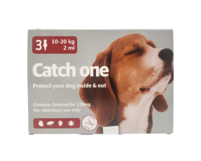 캐치원 L(10~20kg)(3P) [10+1]