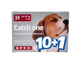 캐치원 L(10~20kg)(3P) [10+1]