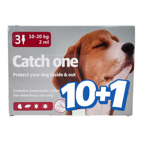 캐치원 L(10~20kg)(3P) [10+1]