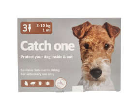 캐치원 M(5~10kg)(3P) [10+1]