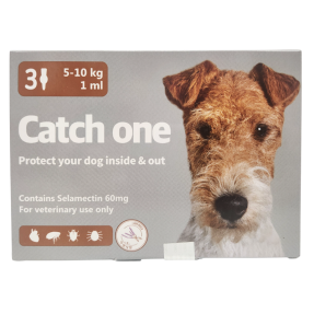 캐치원 M(5~10kg)(3P) [10+1]