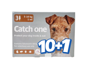 캐치원 M(5~10kg)(3P) [10+1]