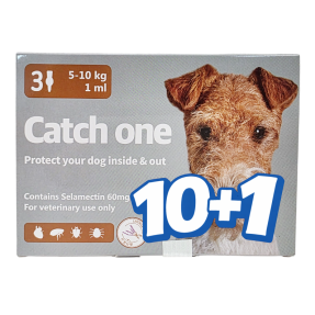 캐치원 M(5~10kg)(3P) [10+1]