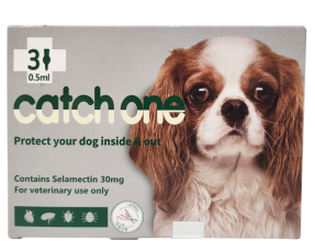 캐치원 S(2.5~5kg)(3P) [10+1]