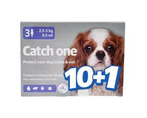 캐치원 S(2.5~5kg)(3P) [10+1]