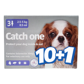 캐치원 S(2.5~5kg)(3P) [10+1]