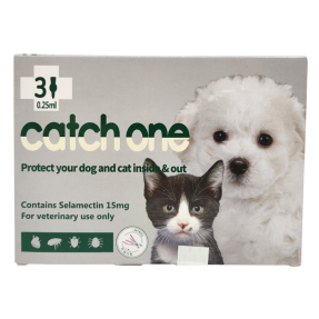 캐치원 SS (독/캣)(2.5kg 이하)(3P) [10+1]