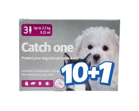 캐치원 SS (독/캣)(2.5kg 이하)(3P) [10+1]
