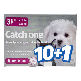 캐치원 SS (독/캣)(2.5kg 이하)(3P) [10+1]