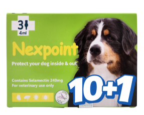 넥스포인트 XL(20~40kg)(3P) [10+1]