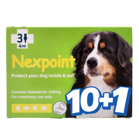 넥스포인트 XL(20~40kg)(3P) [10+1]