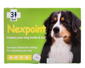 넥스포인트 XL(20~40kg)(3P) [10+1]