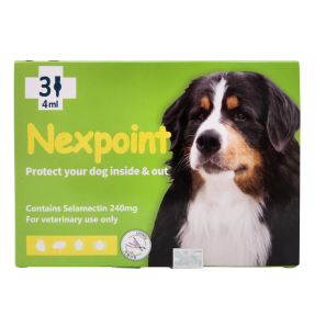 넥스포인트 XL(20~40kg)(3P) [10+1]