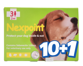 넥스포인트 L(10~20kg)(3P) [10+1]