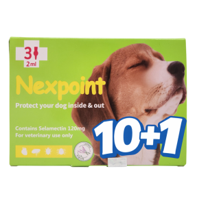 넥스포인트 L(10~20kg)(3P) [10+1]